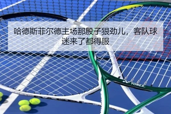哈德斯菲尔德主场那股子狠劲儿，客队球迷来了都得服（kaiyun）