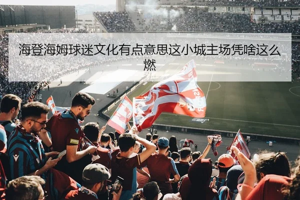 海登海姆球迷文化有点意思这小城主场凭啥这么燃 | kaiyun