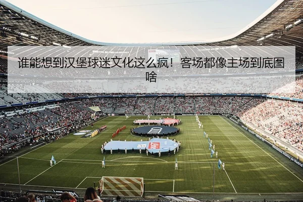 谁能想到汉堡球迷文化这么疯！客场都像主场到底图啥 | kaiyun
