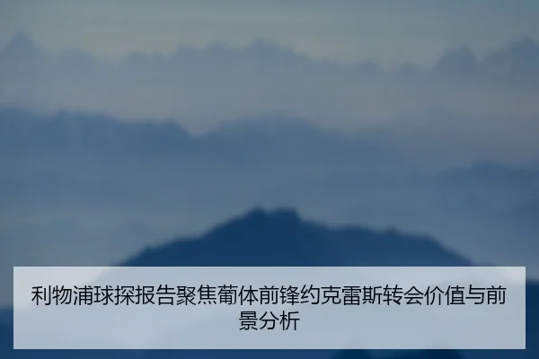 利物浦球探报告聚焦葡体前锋约克雷斯转会价值与前景分析（kaiyun）